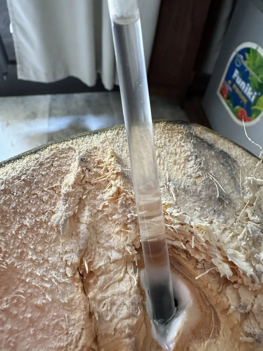 Coconut water being poured from a cracked coconut, backlit, clear liquid visible