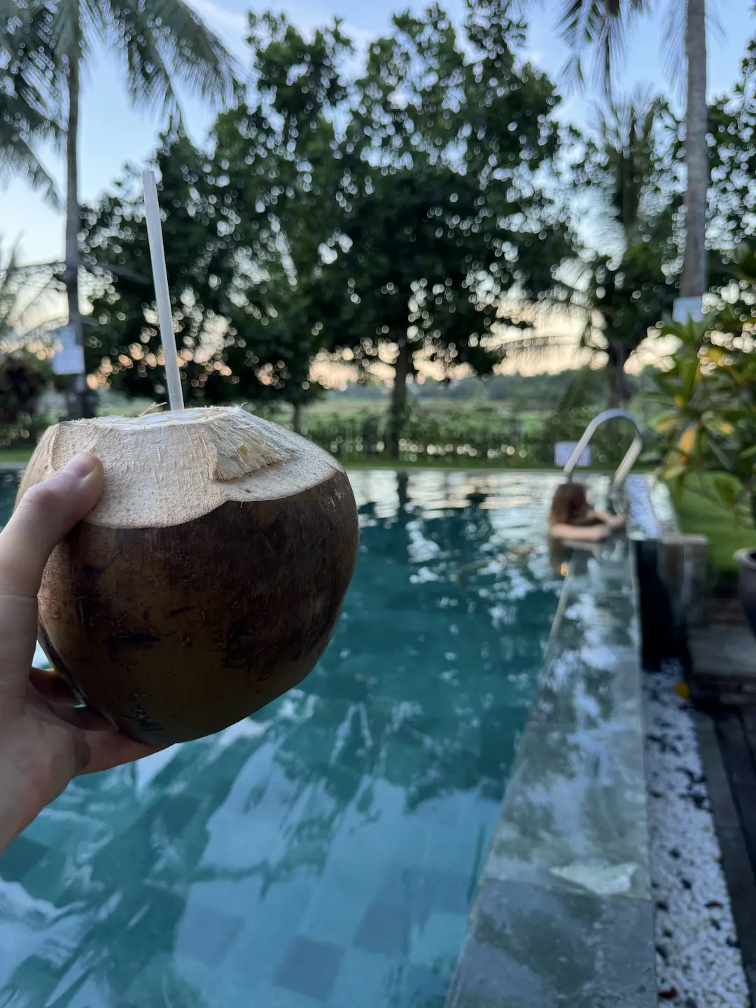 Hand holding a coconut with bamboo straw, tropical pool and palm trees in background