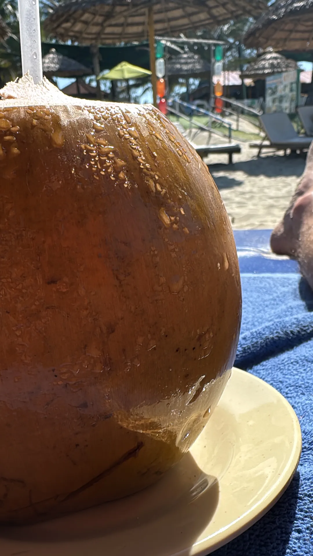 Close-up of water condensation droplets on amber coconut skin