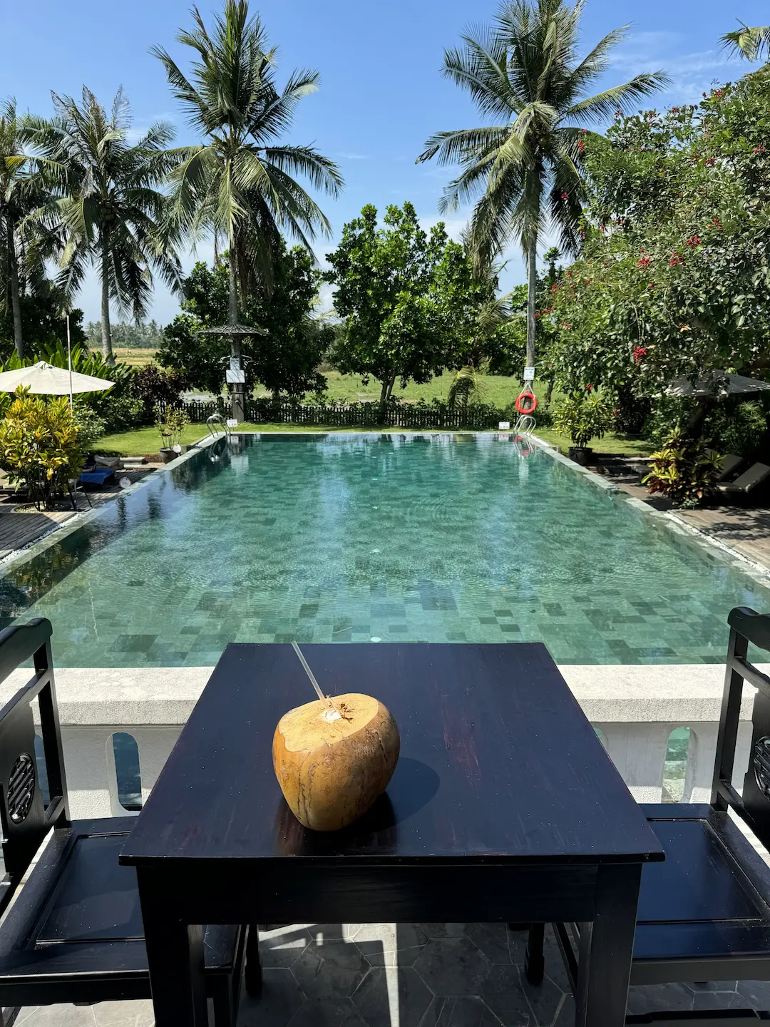 Coconut on dark wood table with pool and tall palm trees behind, blue sky